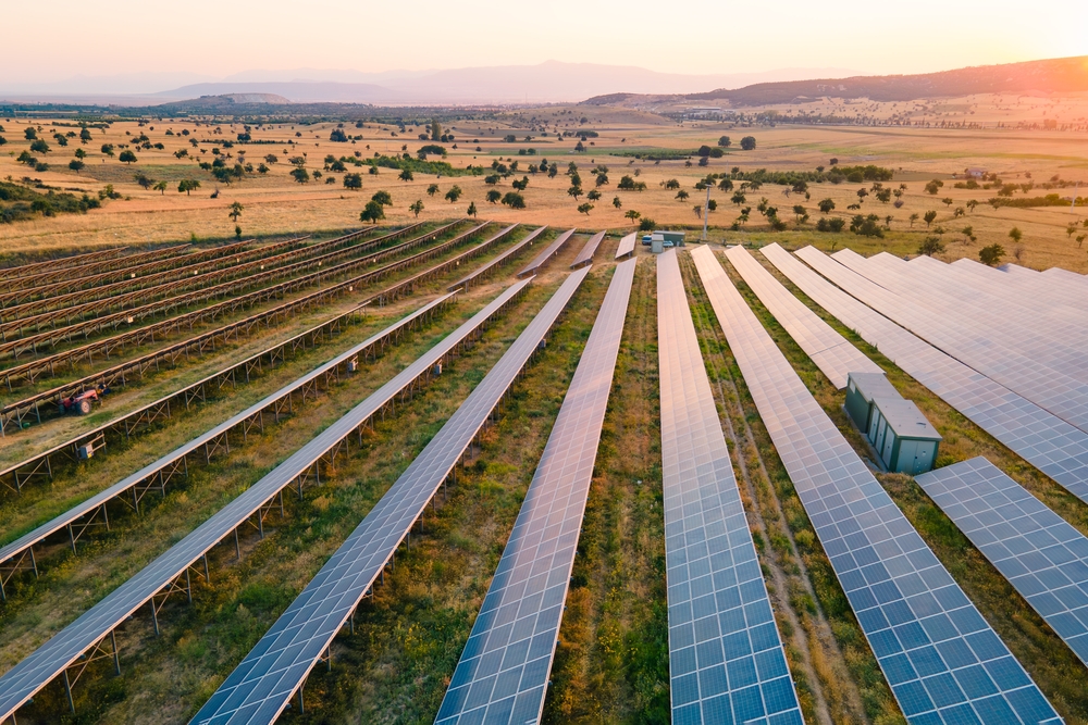 Aerial view of a solar power farm with rows of solar panels extending across a vast, sunny landscape. The surrounding area features grassy fields and scattered trees under a clear sky at sunset.