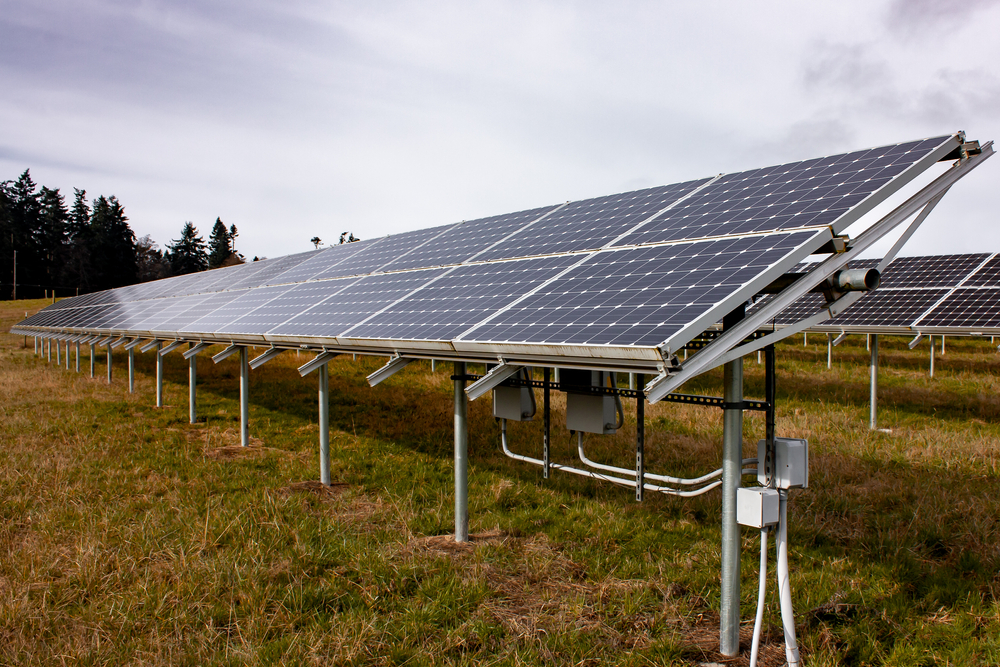 image of a solar panel in a community solar farm